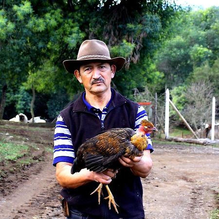 Cabanas Huilipan Gonzalez Nueva Imperial Екстериор снимка
