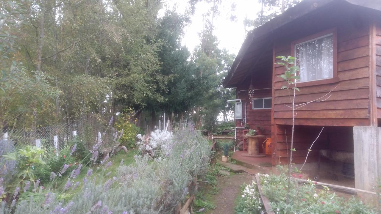 Cabanas Huilipan Gonzalez Nueva Imperial Екстериор снимка