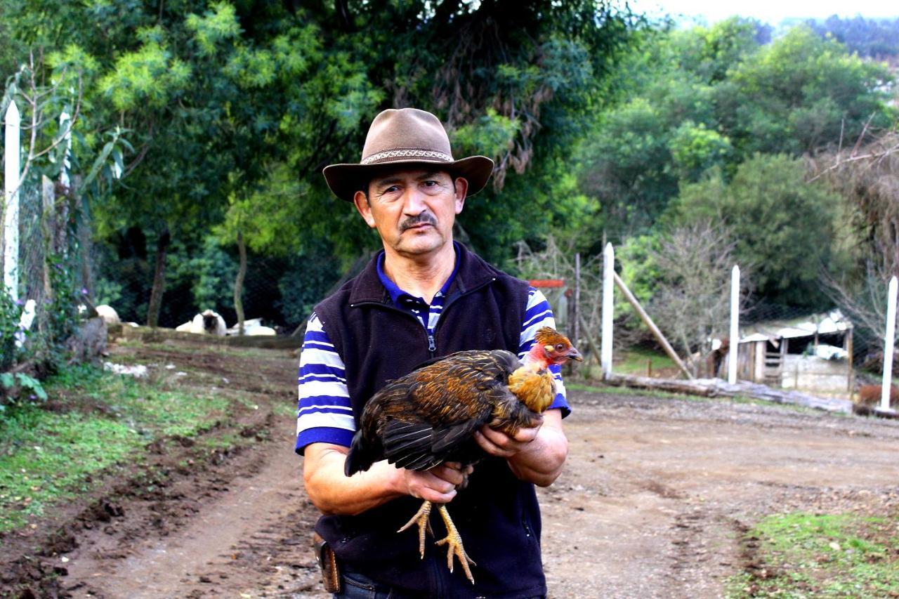 Cabanas Huilipan Gonzalez Nueva Imperial Екстериор снимка